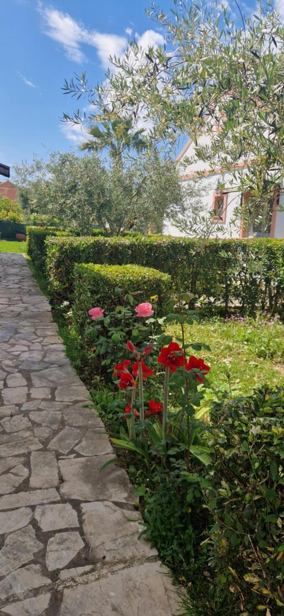 Corfu Studio 4U Roda  Zewnętrze zdjęcie